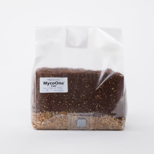 MycoOne™ Coir – All-in-One Grow Bag (Grain + CVG Substrate)
