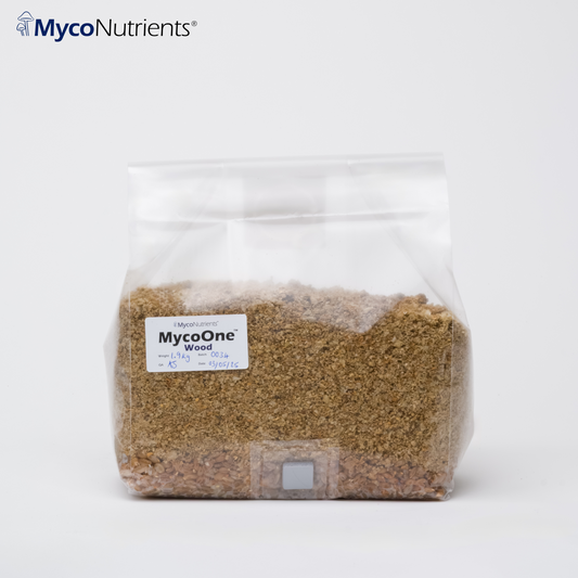 MycoOne™ Wood – All In One Grow Bag (Grain & Hardwood Substrate) 1.9 Kg