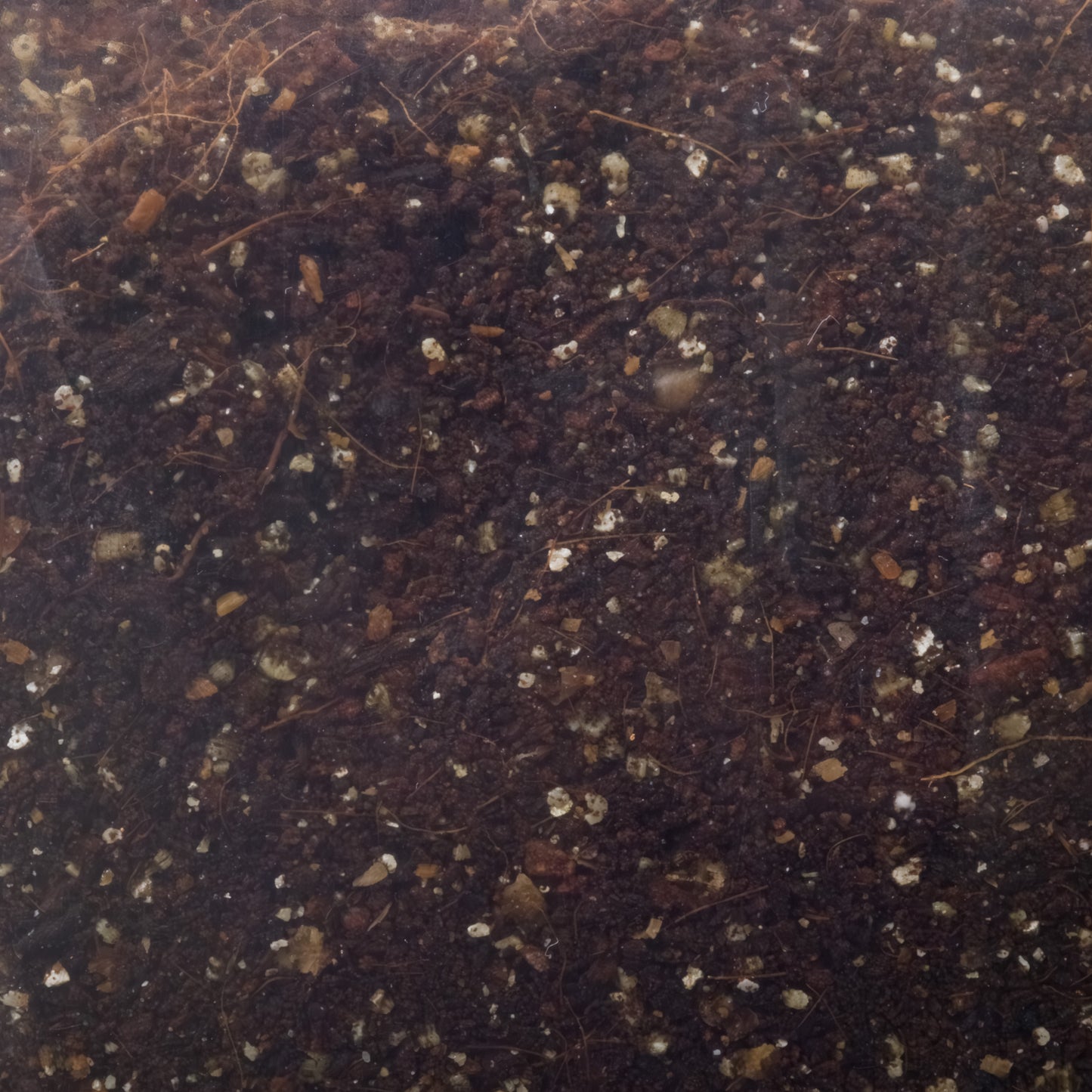 MycoCoir™ – Organic CVG Substrate