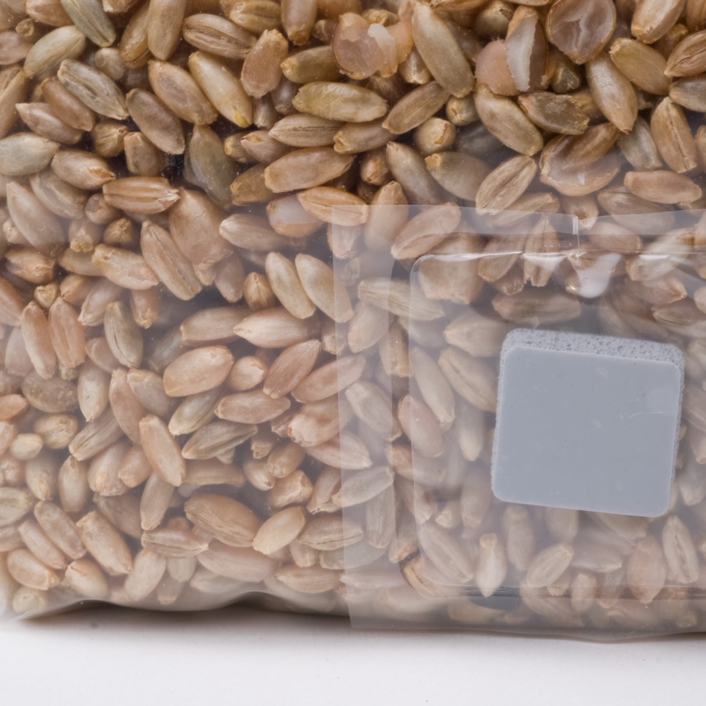 MycoSpawn™ – Organic Rye Grain Spawn Bag