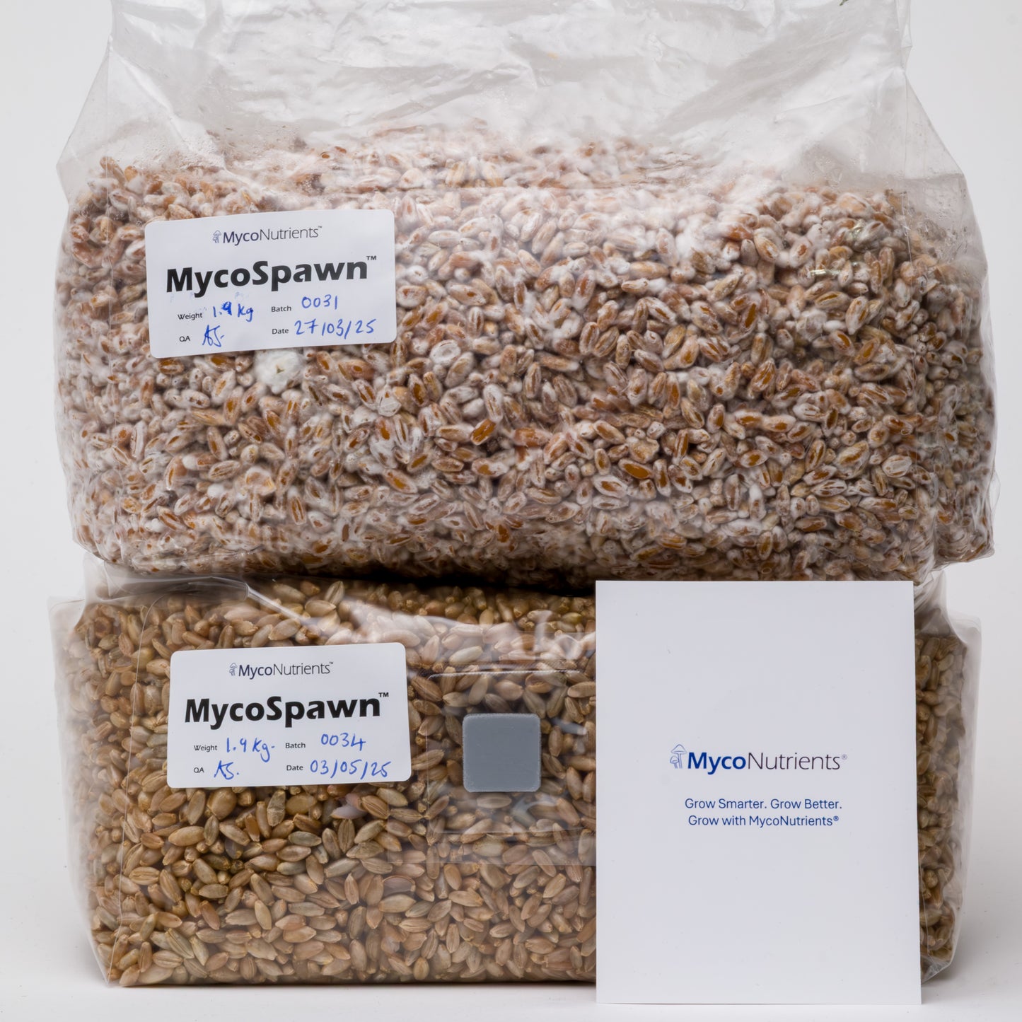 MycoSpawn™ – Organic Rye Grain Spawn Bag