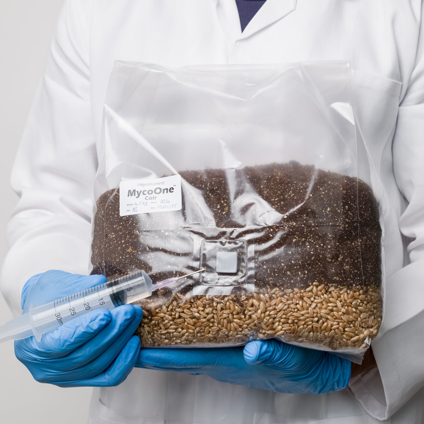 MycoOne™ Coir – All-in-One Grow Bag (Grain + CVG Substrate)